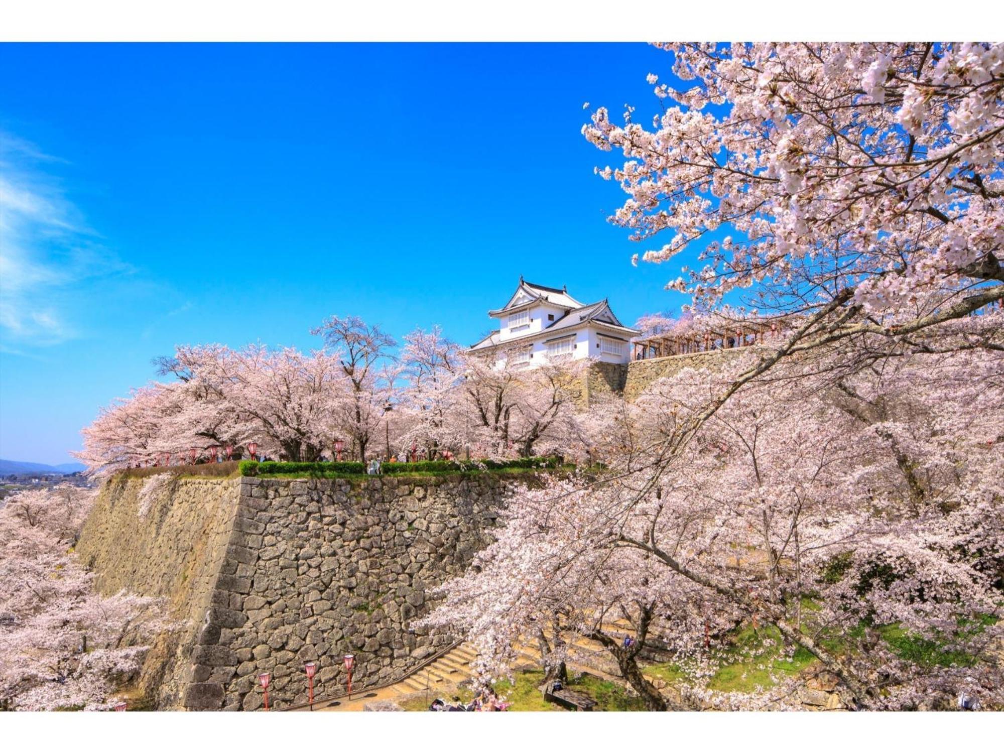 Tsuyama Kakuzan Hotel - Vacation Stay 75701V Exteriér fotografie